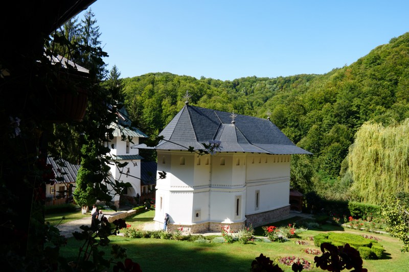 11_800x533.jpg