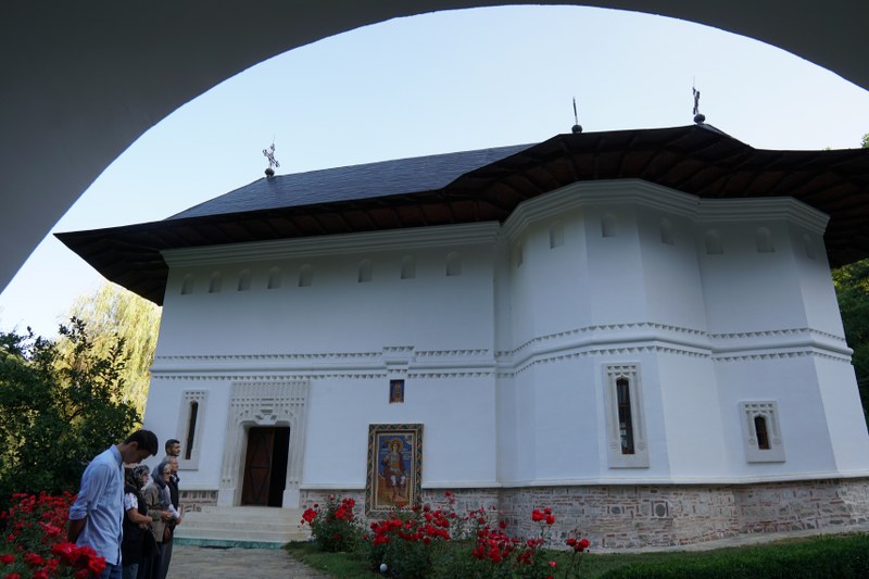 14_800x533.jpg