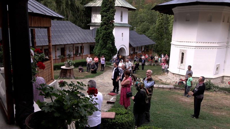 8_800x450.jpg