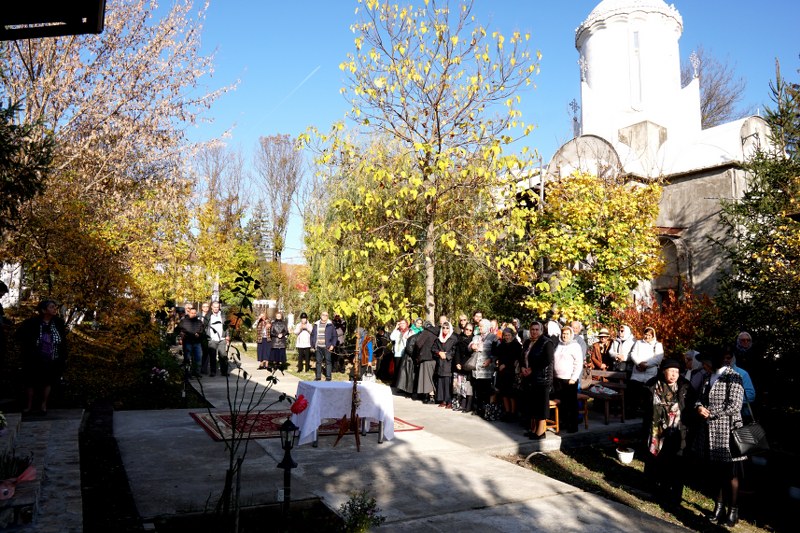 10_800x533.jpg