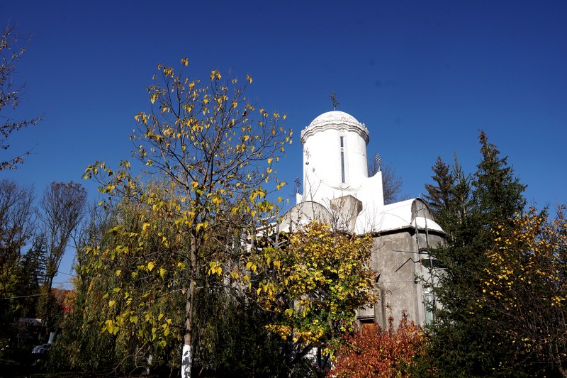 41_800x533.jpg