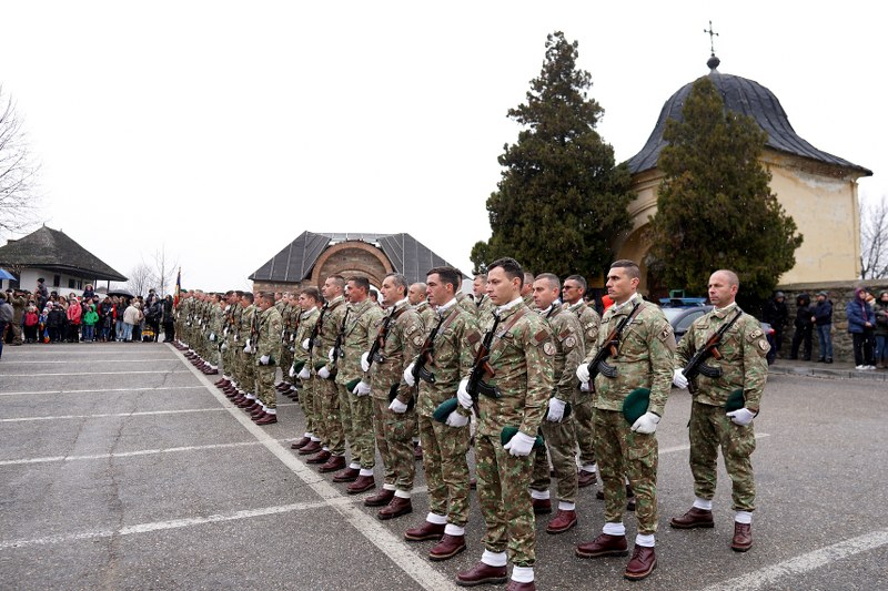 11_800x533.jpg