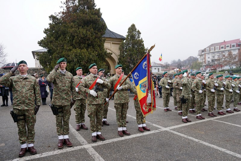 14_800x533.jpg