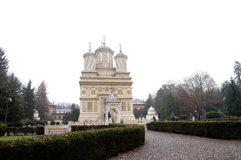 1_800x533.jpg