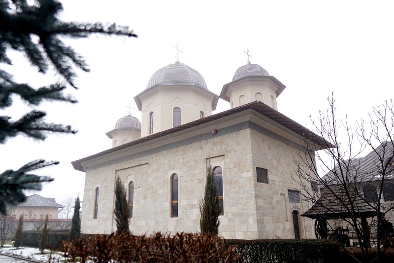 11_800x533.jpg