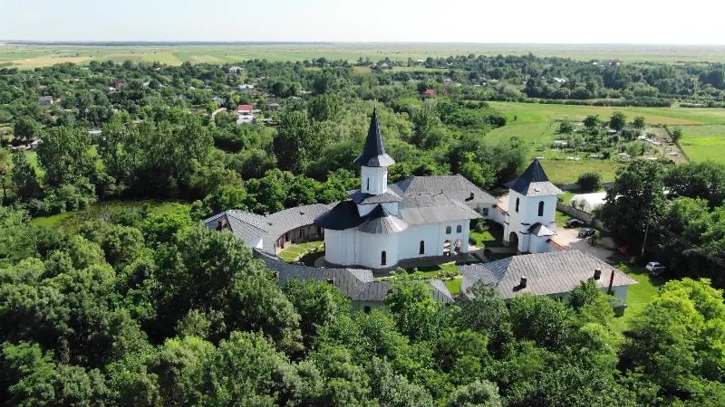 1_800x450.jpg