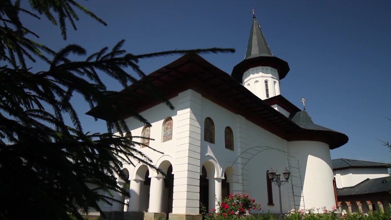 21_800x450.jpg