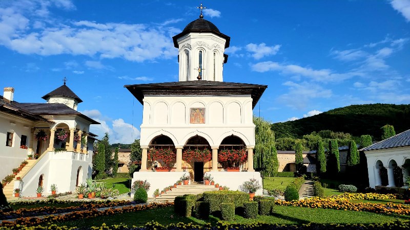 12_800x450.jpg