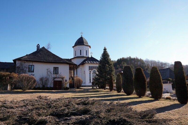 1_800x533.jpg