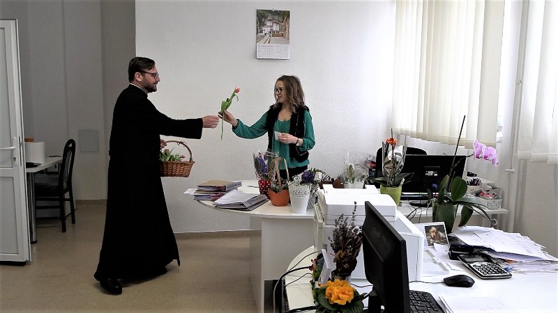 10_800x450.jpg
