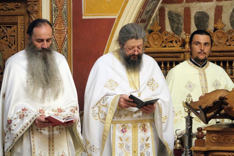 21_800x533.jpg
