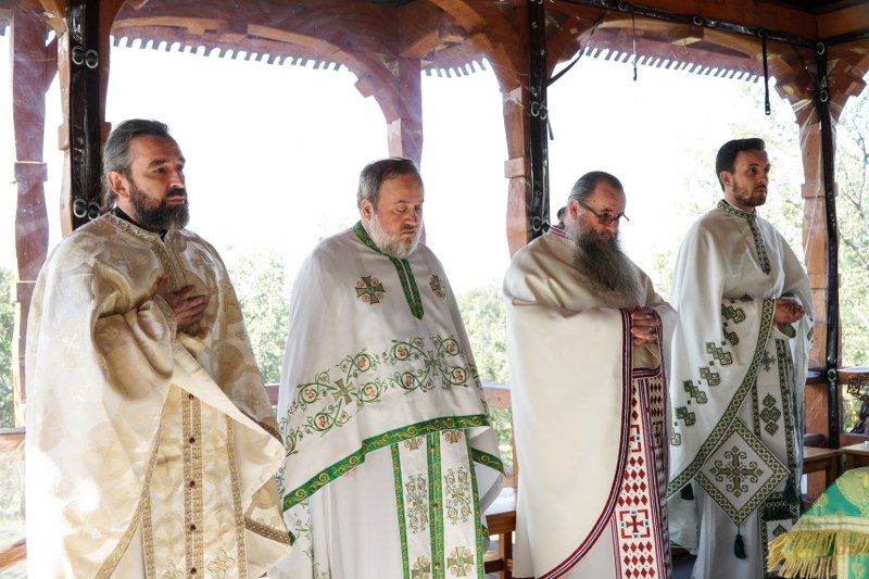 10_800x533.jpg