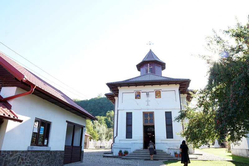 2_800x533.jpg