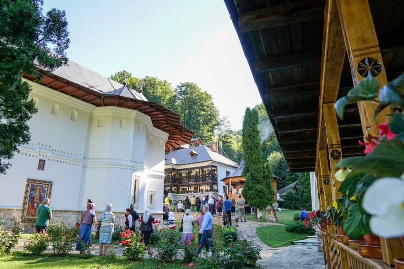 11_800x533.jpg