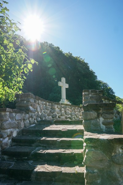 6_400x600.jpg