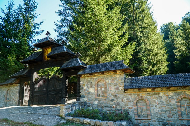 14_800x533.jpg