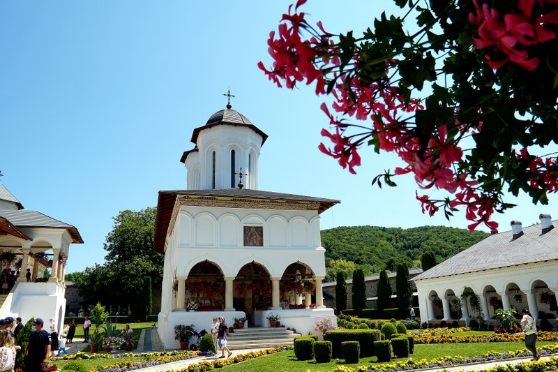1_800x533.jpg