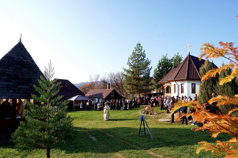 1_800x533.jpg