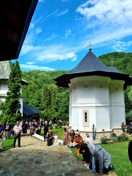 8_450x600.jpg