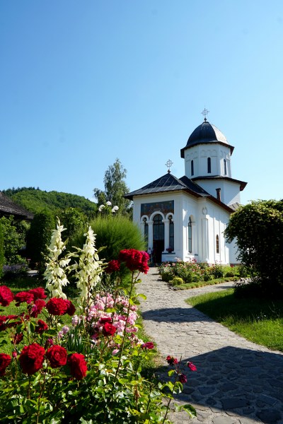 1_400x600.jpg