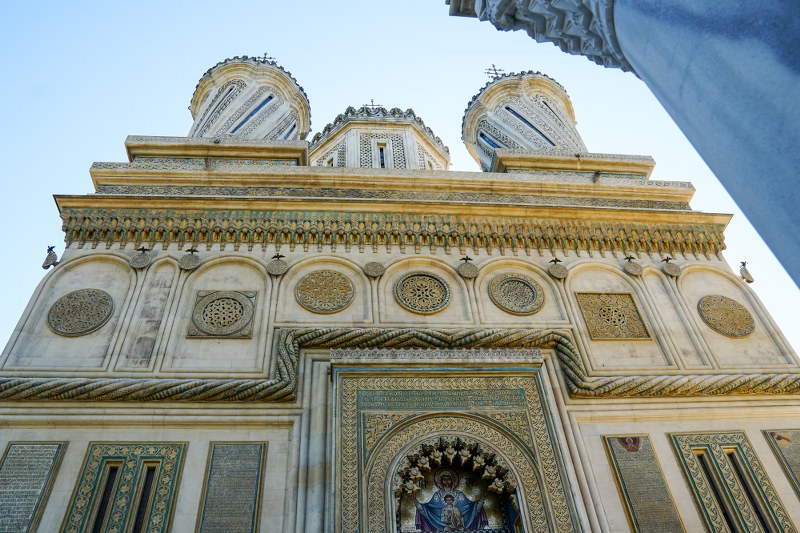 11_800x533.jpg