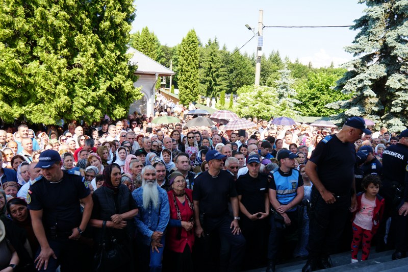 16_800x533.jpg