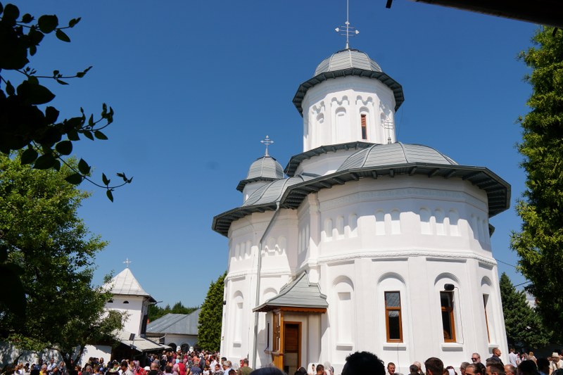 1_800x533.jpg