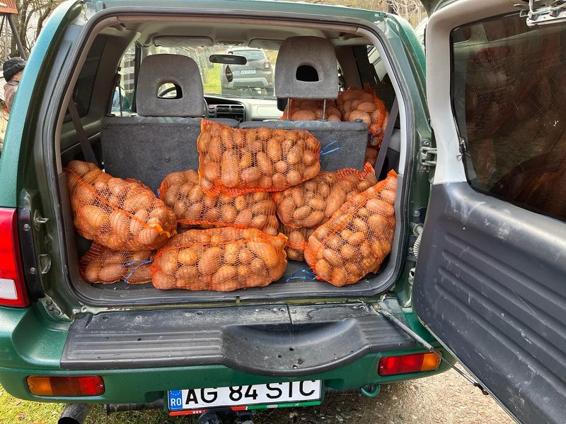 3_800x600.jpg