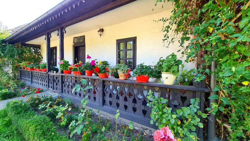 10_800x450.jpg