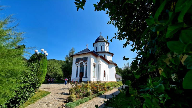 2_800x450.jpg