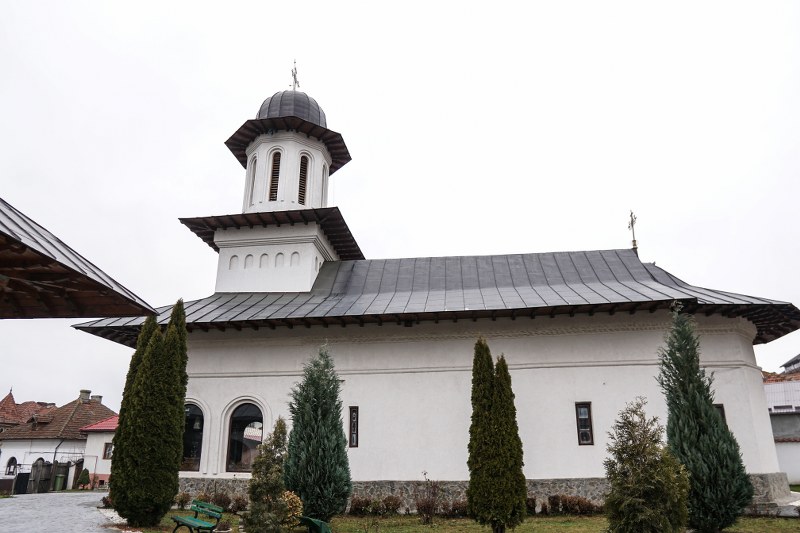 6_800x533.jpg