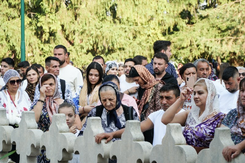 10_800x533.jpg