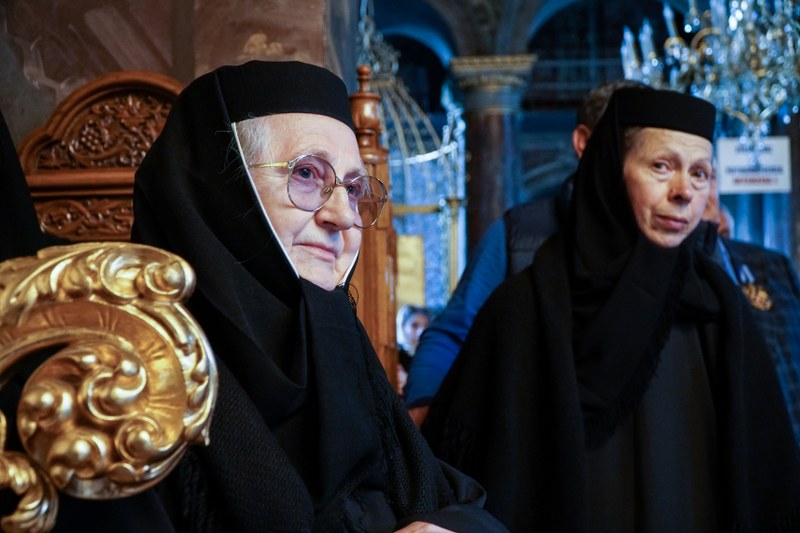 11_800x533.jpg