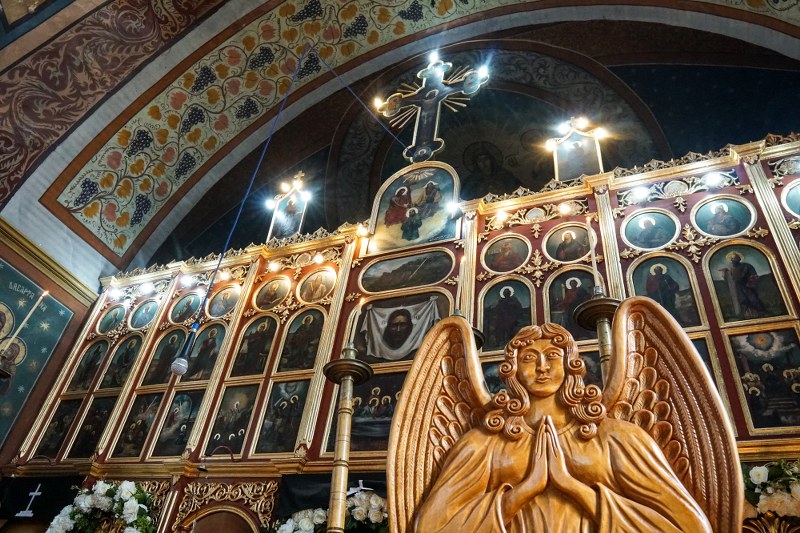 22_800x533.jpg