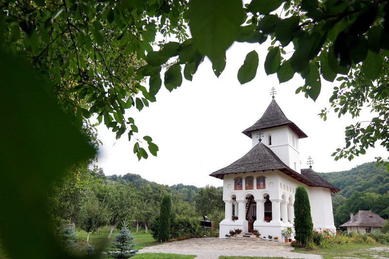 1_800x533.jpg