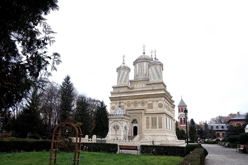 1_800x533.jpg
