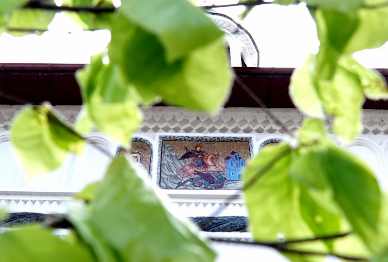 1_800x542.jpg