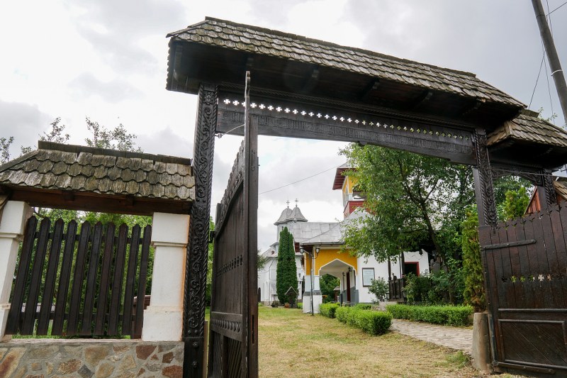 1_800x533.jpg