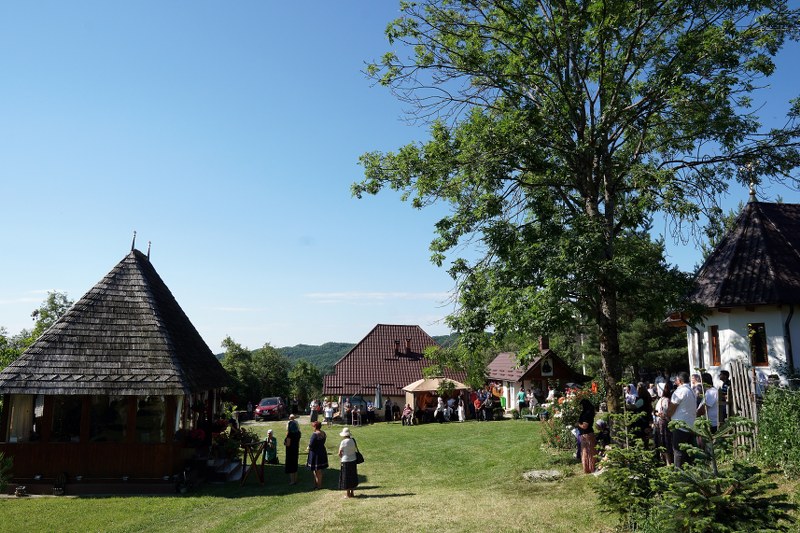 2_800x533.jpg