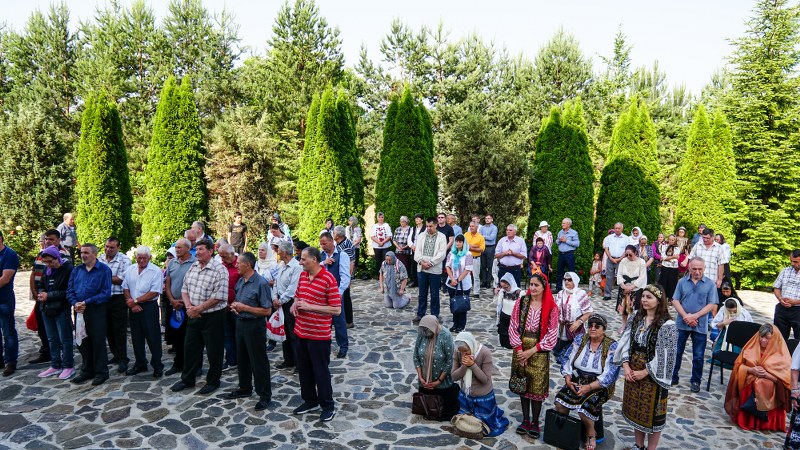 10_800x450.jpg