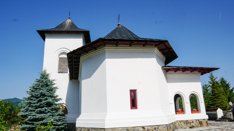 1_800x450.jpg