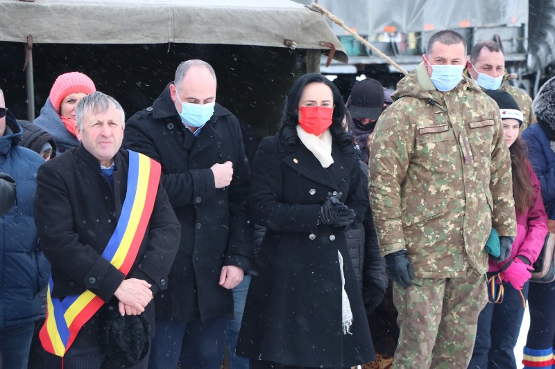 11_800x533.jpg