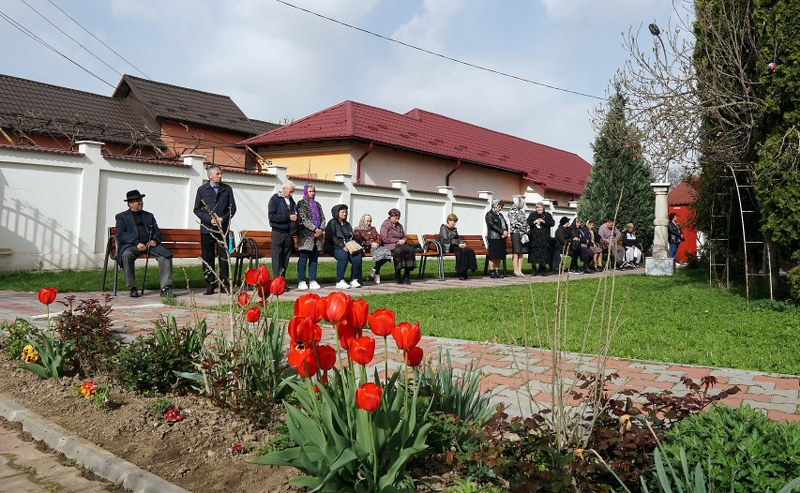 3_800x493.jpg