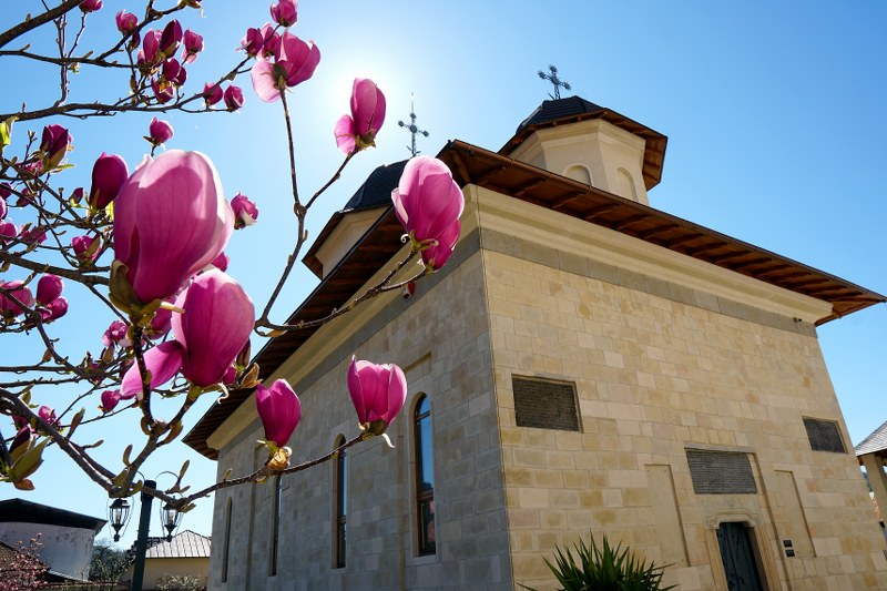 11_800x533.jpg