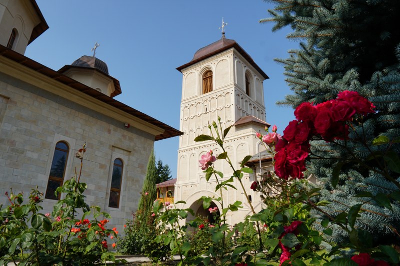 14_800x533.jpg