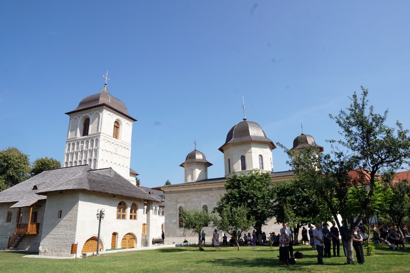 19_800x533.jpg