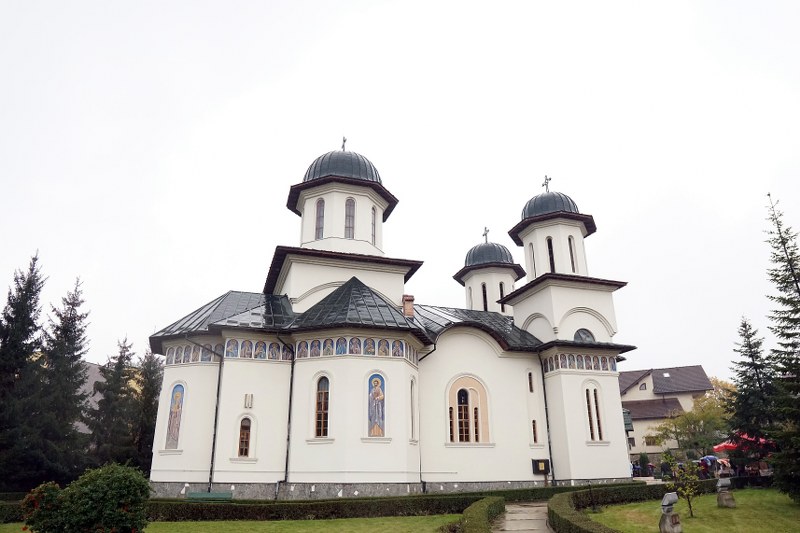 12_800x533.jpg