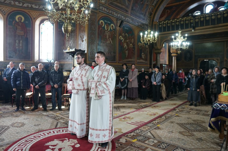 12_800x533.jpg