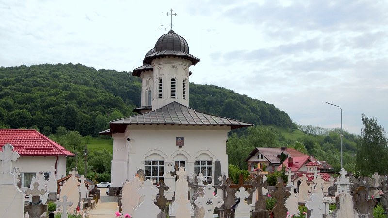 1_800x450.jpg