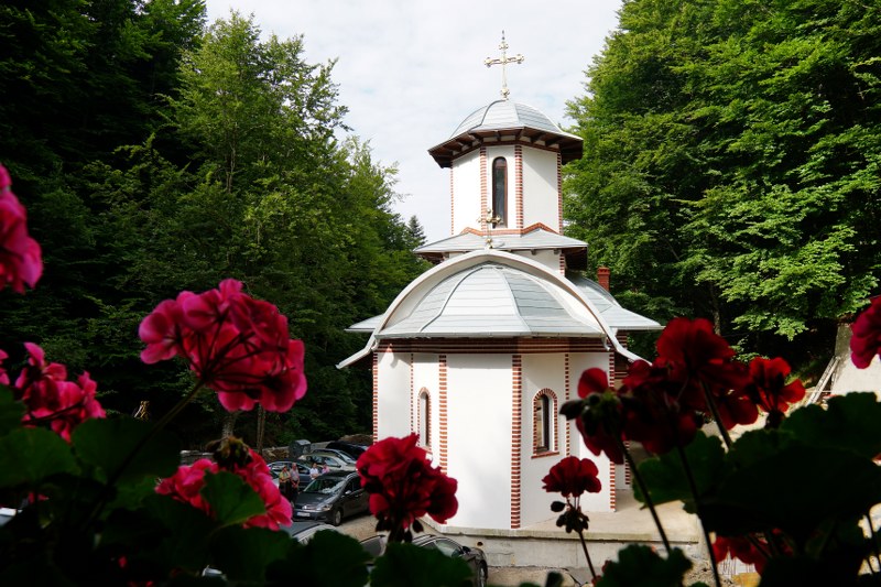 1_800x533.jpg